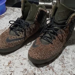 Nike lebron shoes